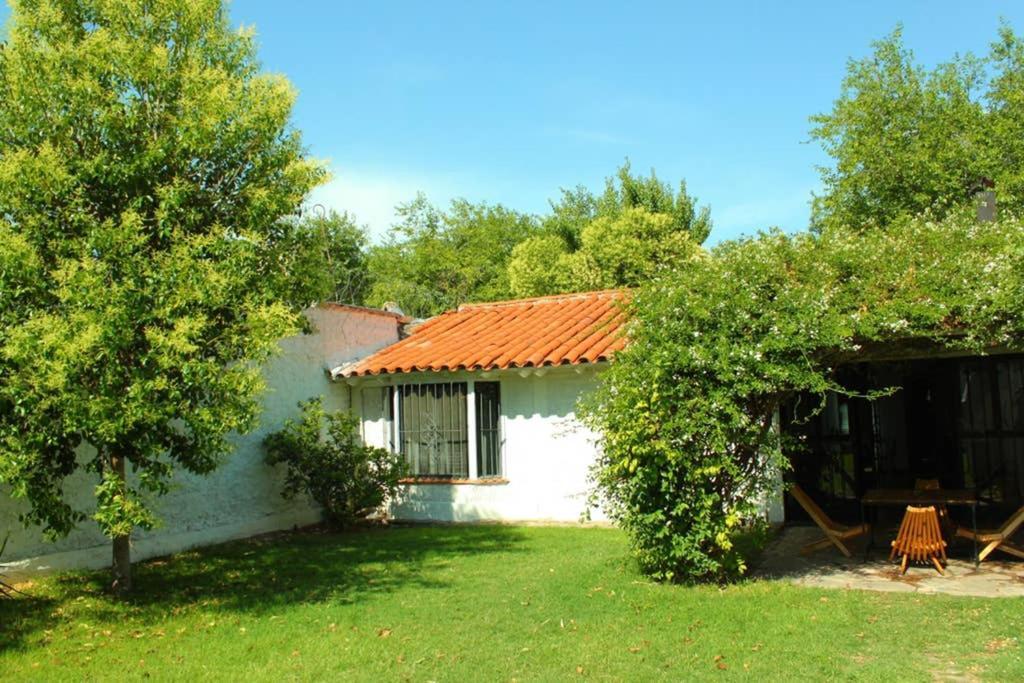 Vila Big Beautiful House With Garden In 5Ta Seccion Neighbourhood Mendoza Exteriér fotografie